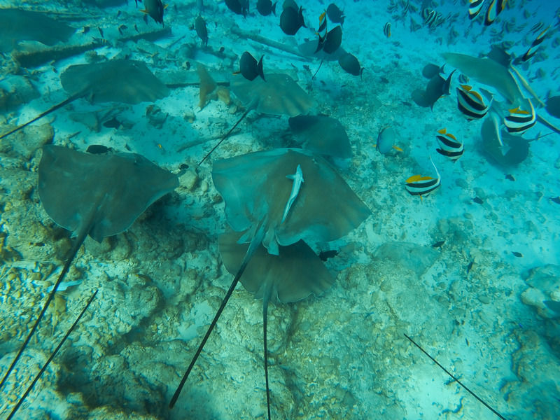 Noomoo Hulhumale Hotel Luaran gambar